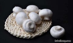 口蘑的功效与作用 口蘑的最佳吃法