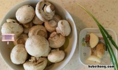 口蘑伞底下变黑有毒吗能吃吗 口蘑伞底下变黑有毒吗图片