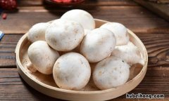 新鲜口蘑需不需要焯水再吃 新鲜口蘑需不需要焯水才能吃