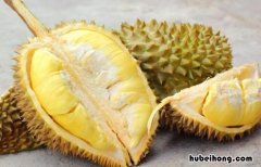 怎么判断榴莲是否成熟? 怎么判断榴莲是否成熟视频