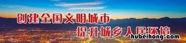 我说你很聪明 你说你很聪明是真的