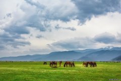 大香格里拉生态旅游圈 大香格里拉环线地图