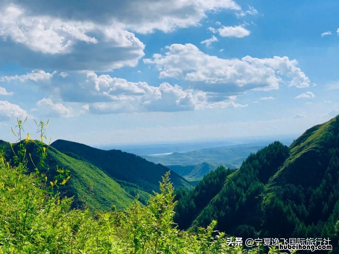 宁夏六盘山国家森林公园 宁夏六盘山旅游景点介绍图片