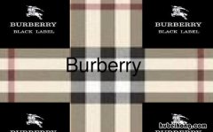 burberry的中文意思是什么 burberry是什么牌子服装