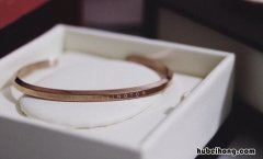 dw手镯是什么牌子 dw手镯含义和广告词