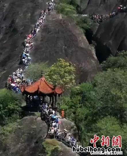 巧克力放在冷冻还是保鲜 巧克力一般放冰冻还是保鲜