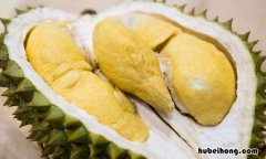 怎么挑熟透的榴莲 如何挑选熟的榴莲