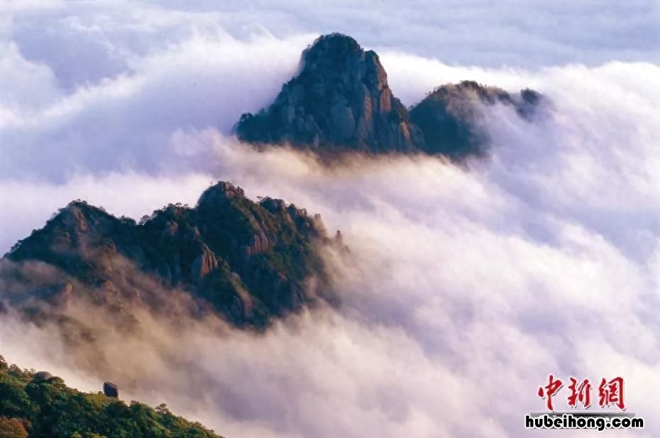 三清山上有哪些奇形的石头 三清山石头图片及名字