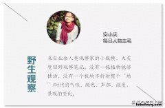 我喜欢看海的唯美句子 我最喜欢看大海