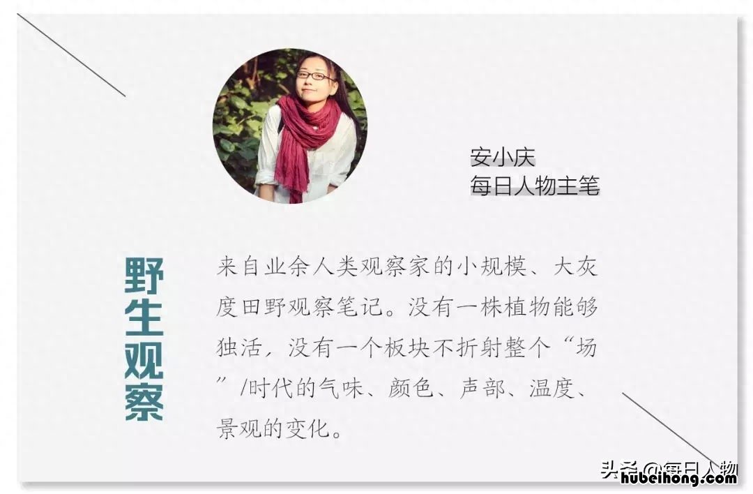 我喜欢看海的唯美句子 我最喜欢看大海