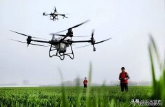 6个关于清明节的问题与答案 关于清明节的话题作文500字作文