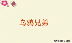 《乌鸦兄弟》读后感怎么写三年级 《乌鸦兄弟》读后感怎么写四年级