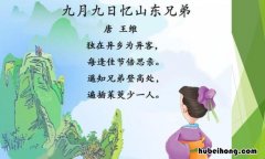 《九月九日忆山东兄弟》全诗意思 《九月九日忆山东兄弟》这首诗是什么意思