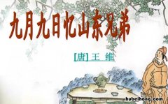 九月九日忆山东兄弟古诗意思解释简单 九月九日忆山东兄弟古诗意思简短