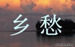 乡愁表达了作者的什么情感 乡愁表达了作者什么的情感