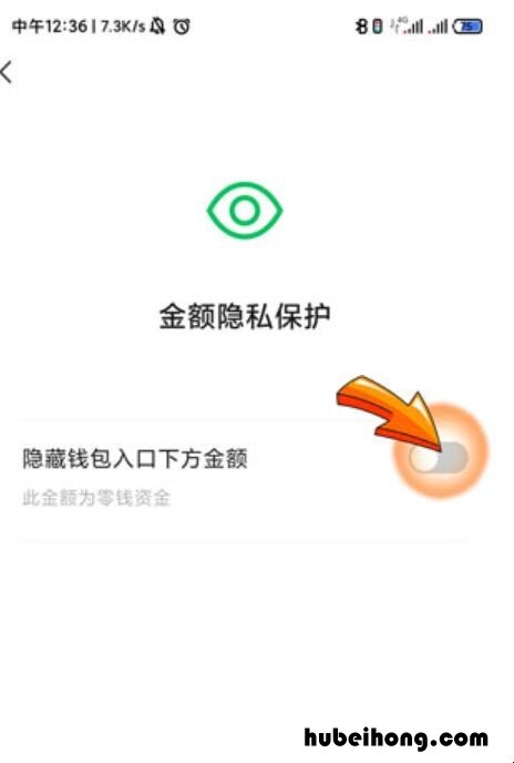 如何让零钱通不显示金额 怎么设置零钱通的金额不让别人看到
