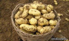 减肥方法七天瘦十斤 减肥食谱一周瘦10斤科学减肥