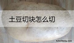 土豆切块怎么切四方块 土豆切块怎么切片