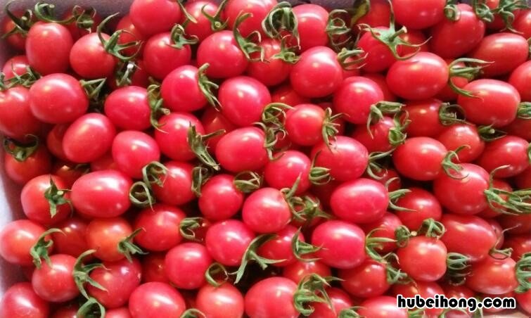 十大碱性食物排名 如何调理碱性体质备孕