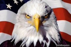 美国领土面积多少平方公里 世界领土最大的三个国家