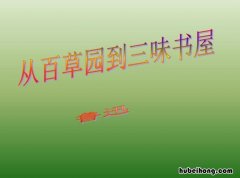 读书笔记朝花夕拾10篇 朝花夕拾 的读书笔记
