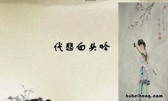 代悲白头翁刘希夷 代悲白头翁全诗