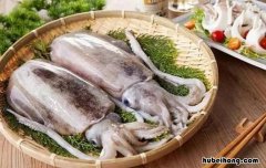 墨鱼属于海鲜嘛 墨鱼属于海鲜吗还是河鲜呢图片