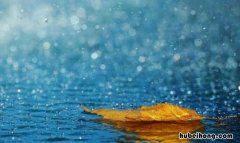 微信下雨天短语有哪些 下雨天的微信表情包
