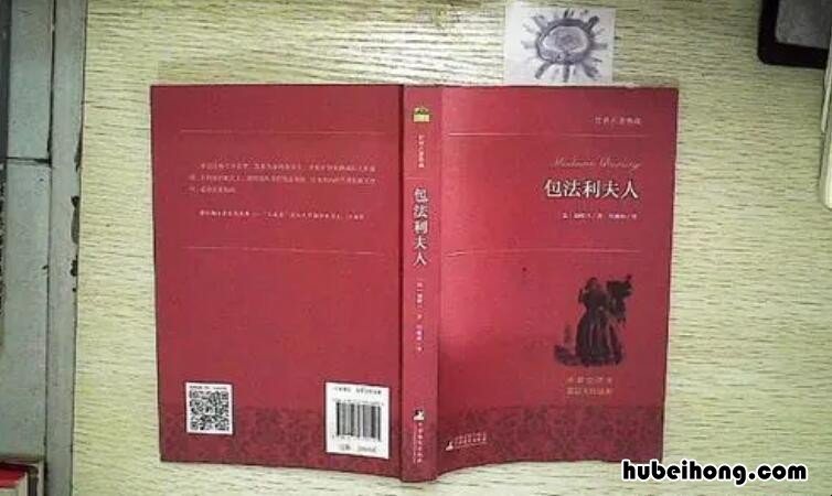 包法利夫人人生启示 包法利夫人阅读心得1500