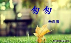 匆匆是一篇什么体裁? 匆匆是一篇什么体裁的小说