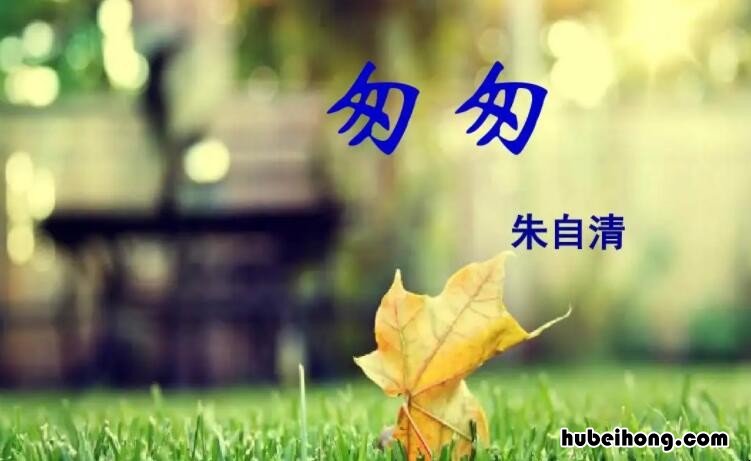 匆匆是一篇什么体裁? 匆匆是一篇什么体裁的小说