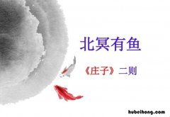 北冥有鱼的全文解释 北冥有鱼是什么诗