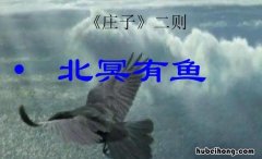 北冥有鱼表达了作者怎样的感情 北冥有鱼表达了作者什么思想