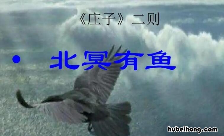 北冥有鱼表达了作者怎样的感情 北冥有鱼表达了作者什么思想