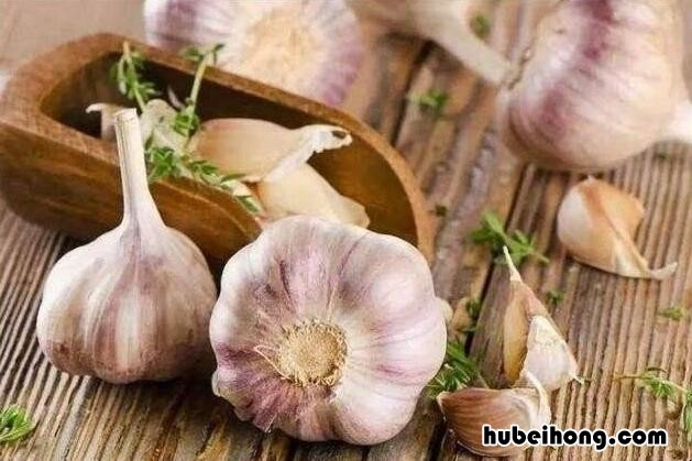 大蒜怎么保存不发芽? 大蒜怎样保存才不发芽