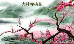 大林寺桃花前两句描写了什么景象 大林寺桃花前两句写什么后两句写什么