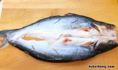 十大变异鲨鱼 狗鱼