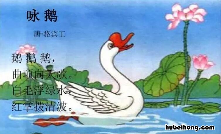 咏鹅的作者是谁骆宾王 古诗《咏鹅》全诗