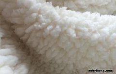 怎样识别真假羊羔毛 怎么辨别是不是真的羊羔毛