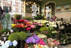 怎样开一家花店赚钱呢 怎样开一家花店赚钱快