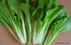 小白菜有哪些 小白菜有几种图片