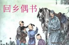 回乡偶书这首诗表达了诗人什么样的思想感情 回乡偶书这首诗表达了作者什么情感