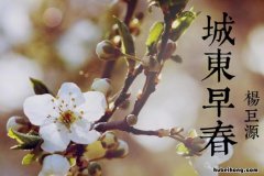 城东早春的翻译意思 城东早春译文及注释