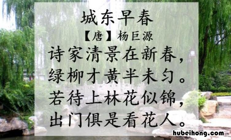 《城东早春》的意思是什么? 《城东早春》 古诗