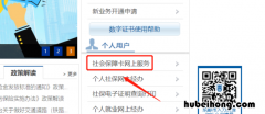 公司怎样查询社保缴费明细账 怎么样查社保缴费明细