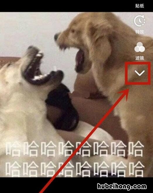 抖音怎么编辑说话文字 抖音里怎么编辑说话的字幕?