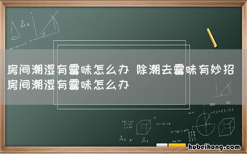 房间潮湿有霉味怎么办 除潮去霉味有妙招 房间潮湿有霉味怎么办