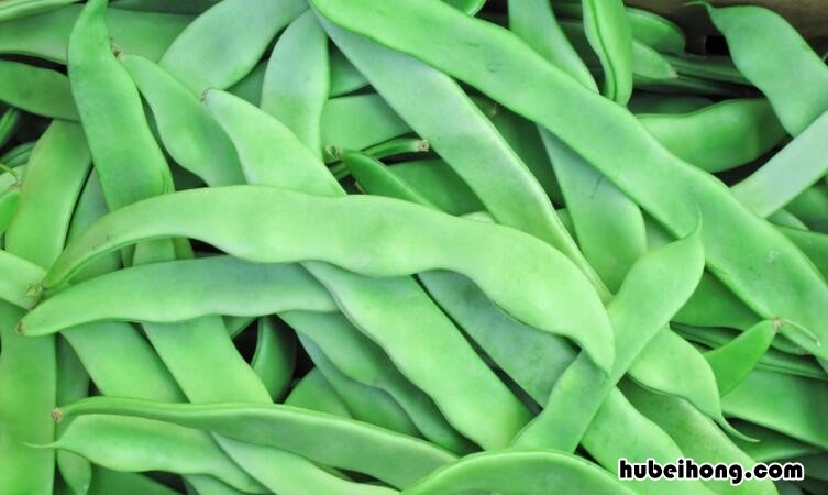 扁豆角是易中毒食物吗 扁豆角是易中毒食物吗能吃吗