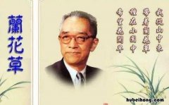 希望是哪个作者写的 《希望》主要讲了什么内容