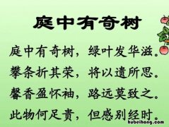 庭中有奇树 百度百科 庭中有奇树出自哪里